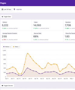 Independent Analytics PRO v2.11.8 – Google Analytics Alternative for WordPress【独立站整站数据统计分析插件】