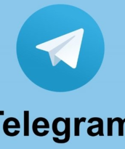 WP Telegram Pro v2.3.10【WP电报机器人插件】